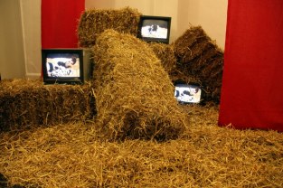 Sarah1_byMatthewHoyland